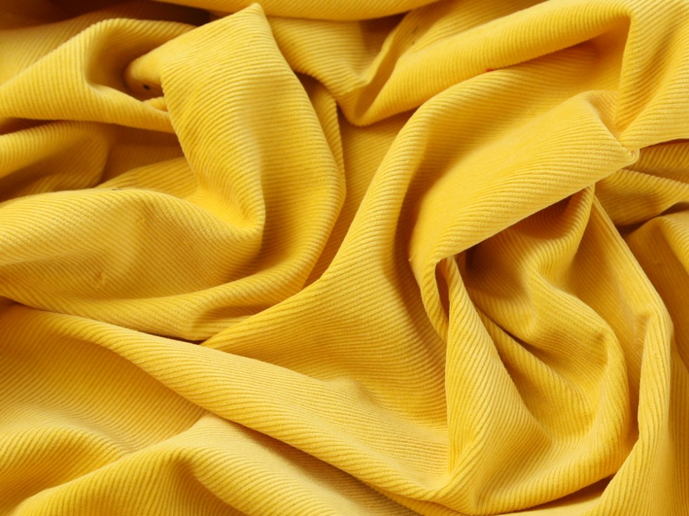 Needlecord dress fabric